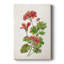 Scarlet Botanical II - Cavas enveloppés de galerie-108826969