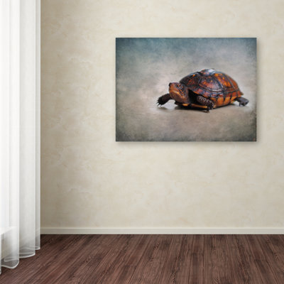 'Box Turtle Portrait' Graphic Art Print on Wrapped Canvas