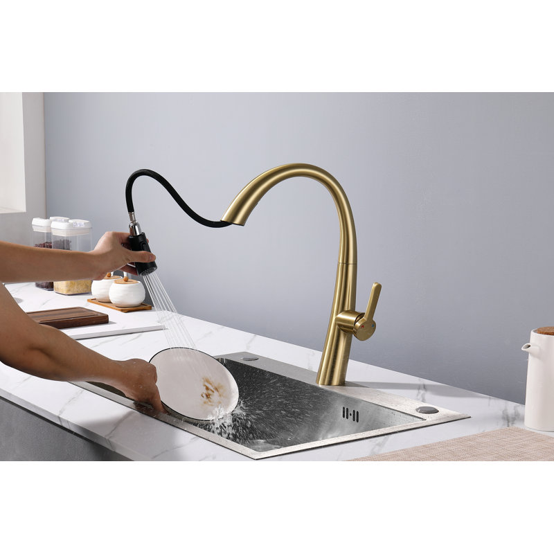 CERYPSA Pull Out Kitchen Faucet, Brushed