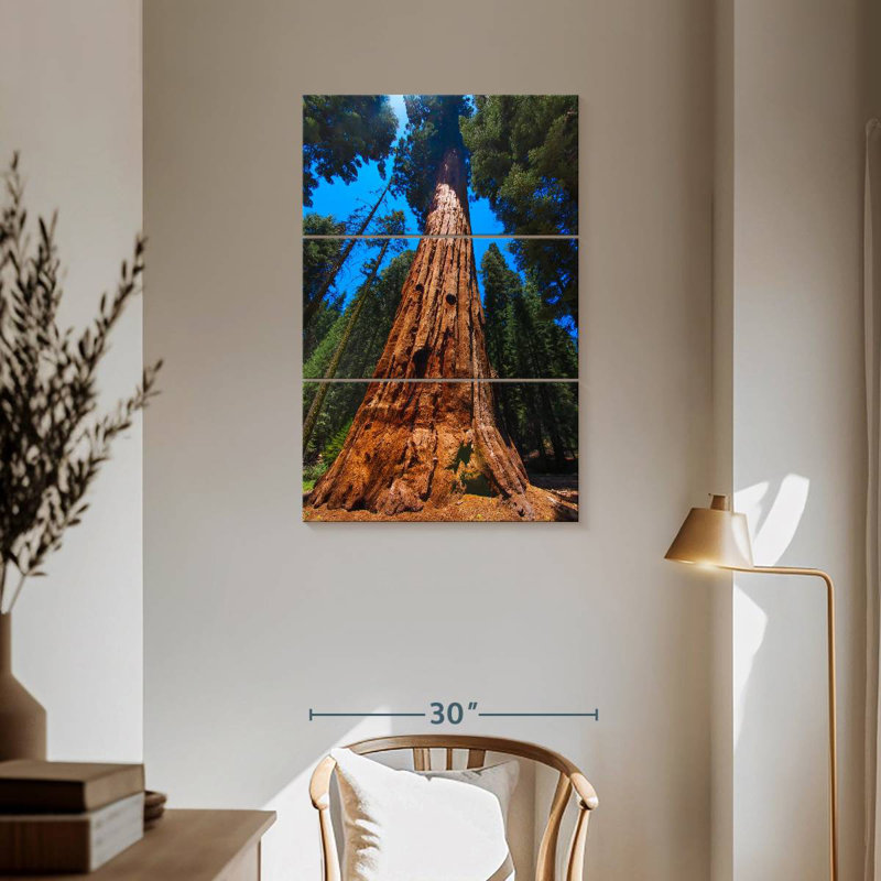 Alvord Towering Sequoia Tree, 57" H x 36" W