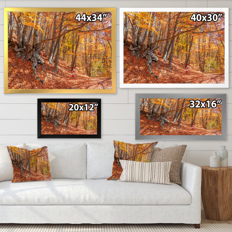 Forêt d'automne, reproduction d'art sur toile traditionnelle, H 30 po x l 40 po x P 1,5 po, Cadre photo noir