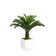 Panama 54" Artificial Palm Tree in Planter