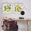 "Distress Country Lemons" par Nan 2 - Pièces sur toile-824613945-824935066