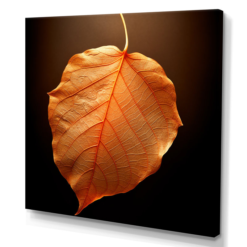 Feuillage tangerine orange érable translucide, Toile tendue, 36" H x 36" W