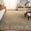 Oriental Hand-Knotted Light Grey / Beige Area Rug-1689652105