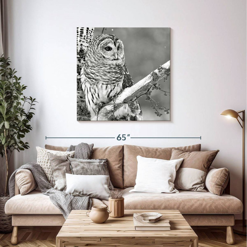 Brampt White Owl BW, 39" H x 39" W