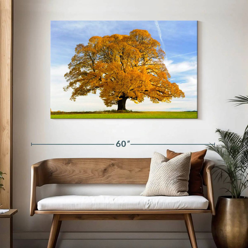 Harnek Linden, 32" H x 48" W
