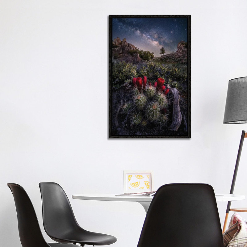Colorado Nightscape - Claret Cup Cactus With Milky Way Galaxy Night Sky by Daniel Forster - Gallery-Wrapped Canvas Giclée on Canvas