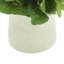 Begonia Floral Arrangement-1560274428-1520998628