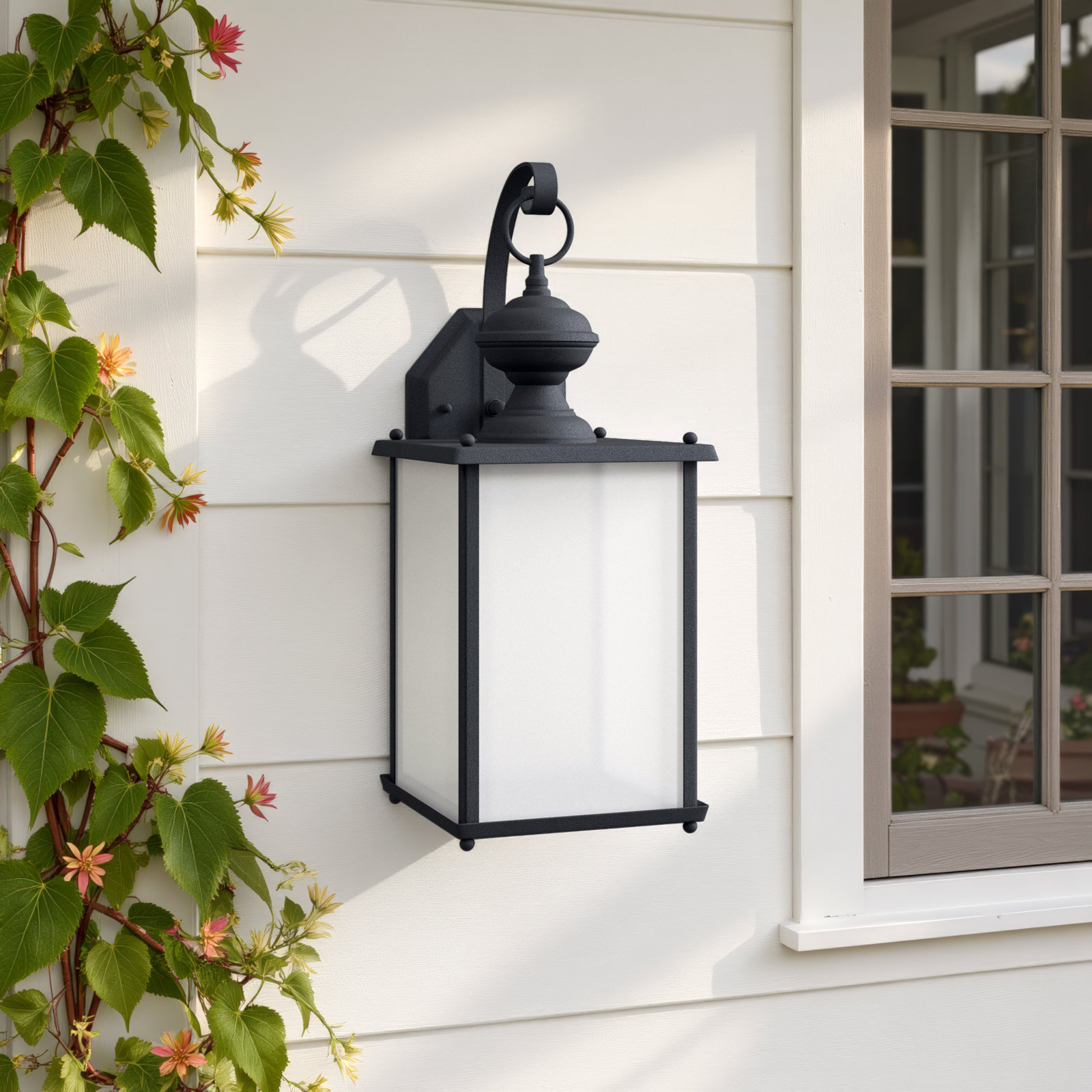 Adaline Single Light Outdoor Wall Light, Black, No
