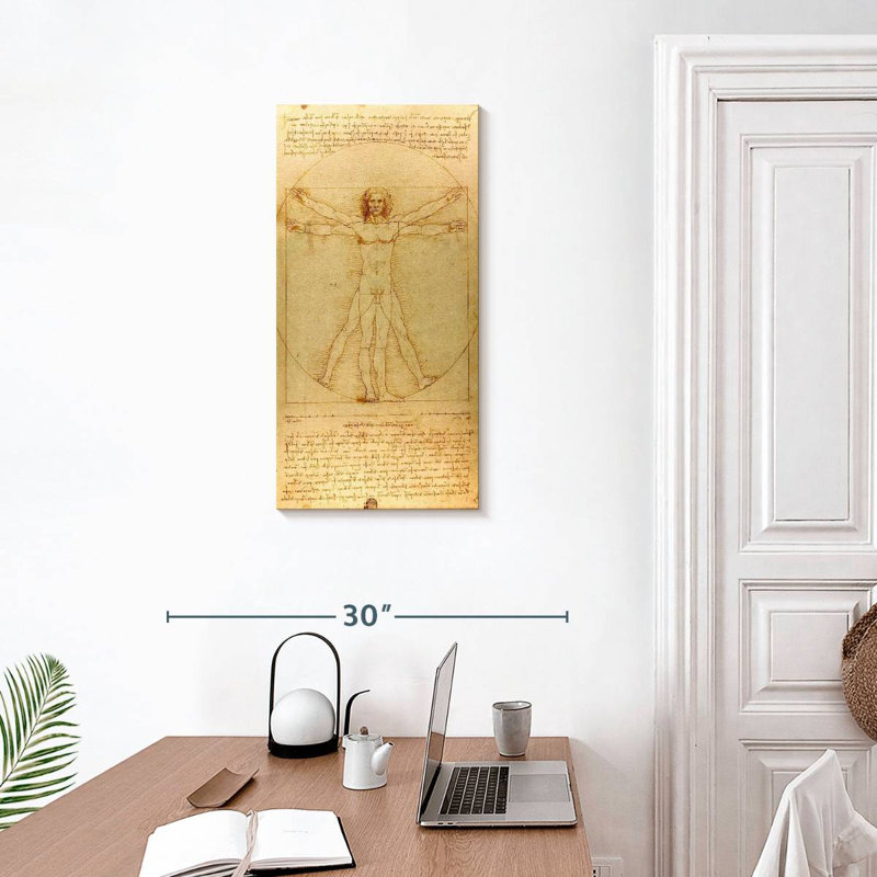 The Vitruvian Man, 30" H x 15" W