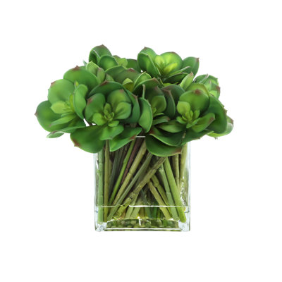 Arrangement Echeveria dans un vase en verre