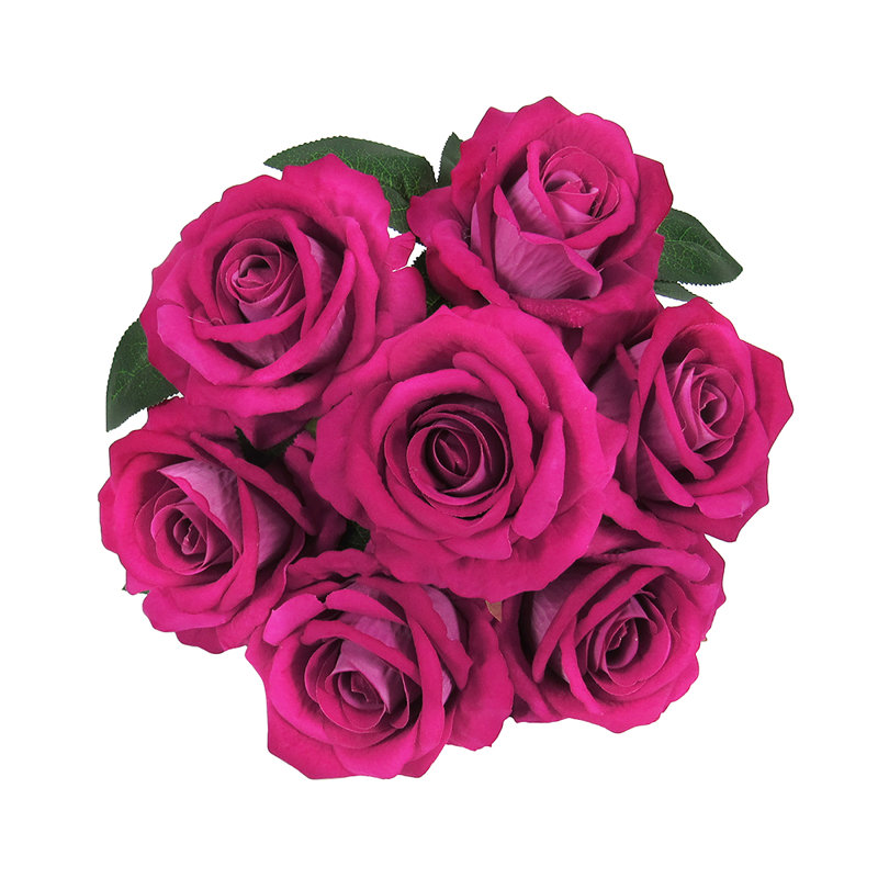 Velours rosier, Rose millennial