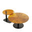 Altamae Pedestal Coffee Table