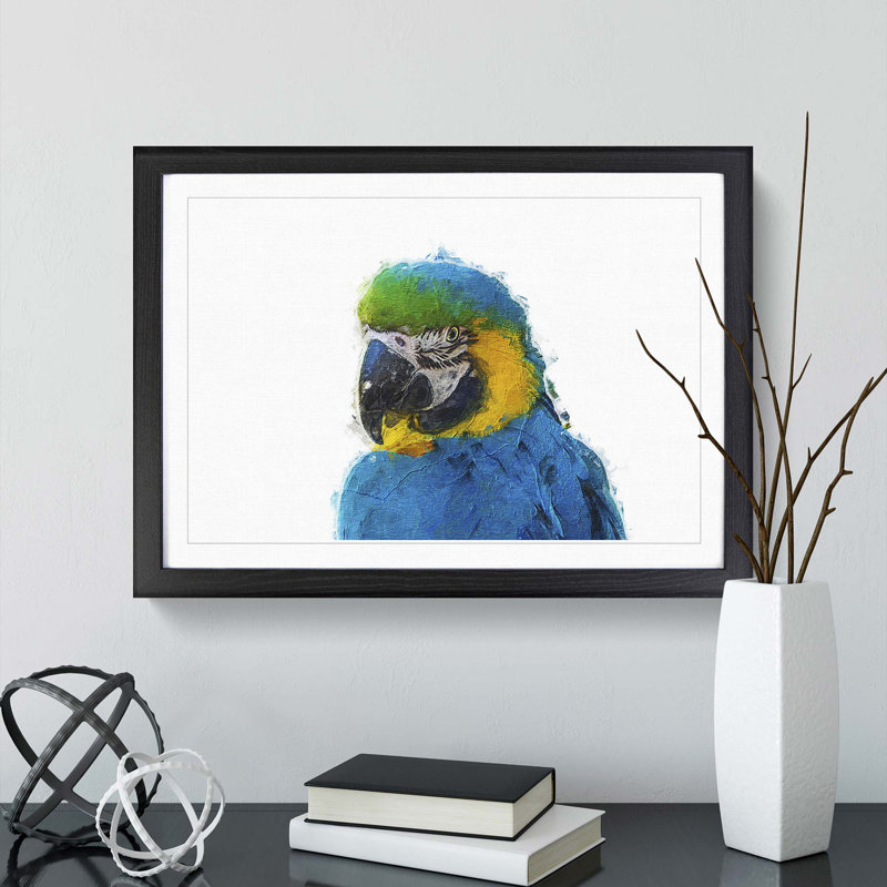 Macaw Parrot - Framed Print, 27cm H x 36cm W x 2cm D, Black Framed