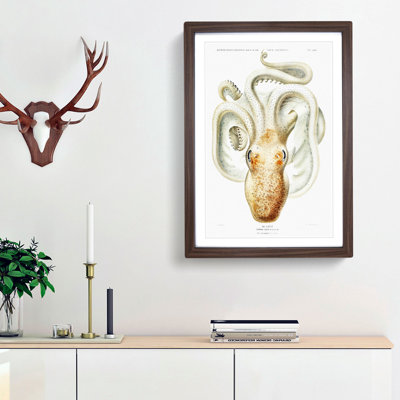 A Velodona Octopus by Carl Chun - Single Picture Frame Painting