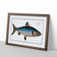 Blue Salmon Fish by M.E. Bloch - Picture Frame Painting Print-55544383-55544382