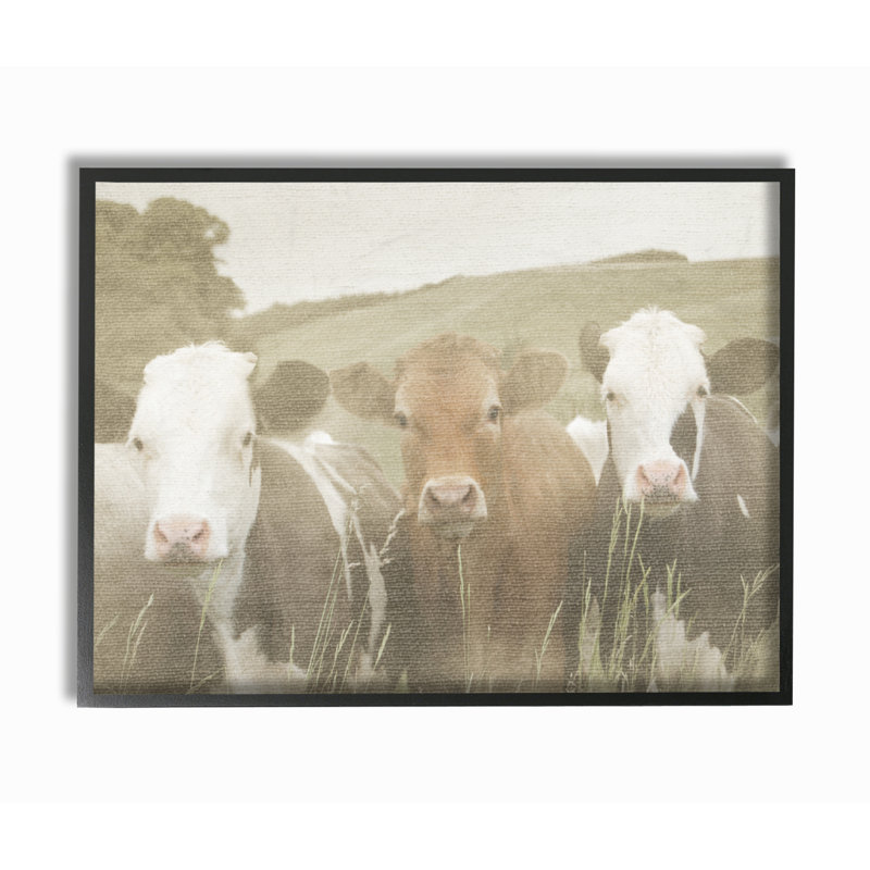 «Happy Neighbours Cows in the Field», reproduction de photo, Giclée encadrée noir minuit, H 16 po x l 20 po