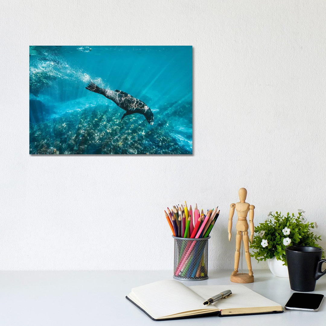 Underwater Sea Lion With Light Rays by James Vodicka - Wrapped Canvas Gallery-Wrapped Canvas Giclée