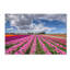«Tulip Field», reproduction de photo sur toile tendue-1095274738