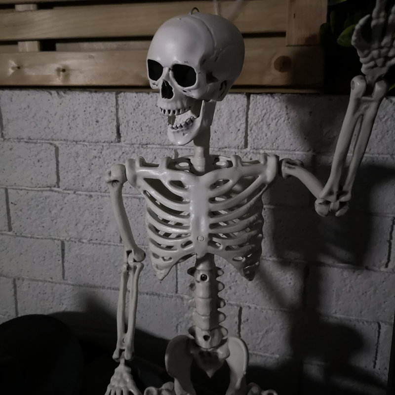 Anquantae Halloween