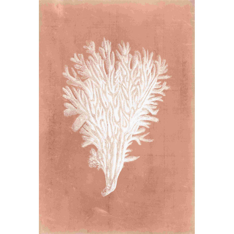 Sealife sur corail II, H 18 po x l 12 po