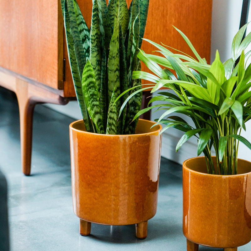 Pisa Indoor Planter, 20cm H x 24cm W x 24cm D, Mustard