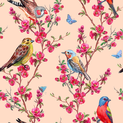 Modèle sans couture d'oiseaux