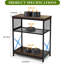 Support d'aquarium pour aquariums de 10 à 20 gallons Structure en acier robuste à hauteur réglable à deux niveaux avec cage de reptile robuste ou armoire de rangement