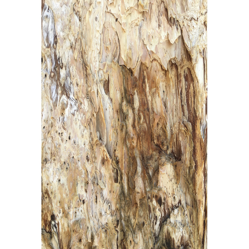 Triangle de texture d'arbre III, H 12 po x l 8 po x P 1,25 po