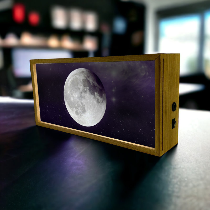 Saffian Night Light Moon 15" LED Sign