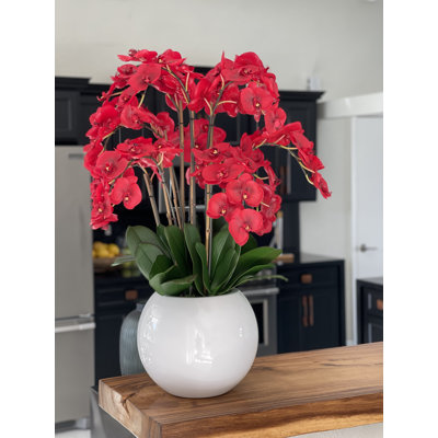 Arrangement in Pot