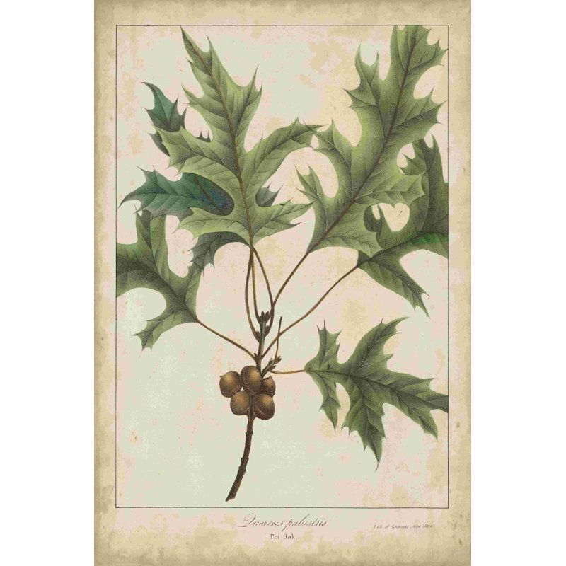Feuilles de chêne et glands IV, H 18 po x l 12 po