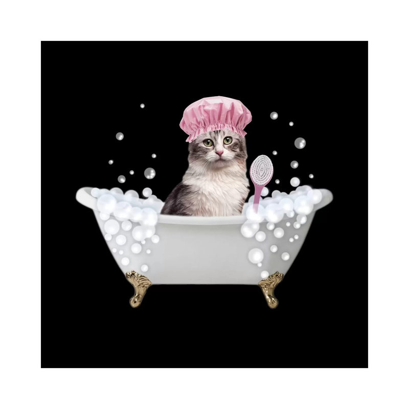 Fun Kitty Bath 3 by Marcus Prime - Wrapped Canvas Print, 93.98 cm H x 93.98 cm W x 1.91 cm D