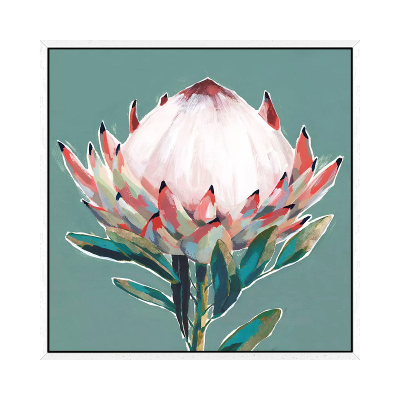 Blooming King Protea by Isabelle Z - Painting on Canvas, White Framed, 66.04 cm H x 66.04 cm W
