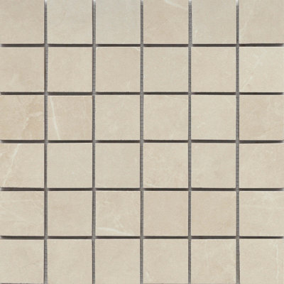 Sterlina II 12" x 12" Porcelain Solid Decorative Tile