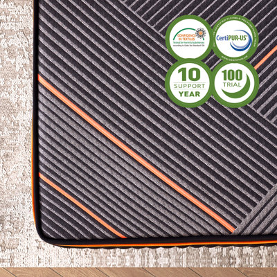 Matelas pour canapé-lit moelleux en mousse à mémoire de forme de 14 po Alwyn Home Perryman