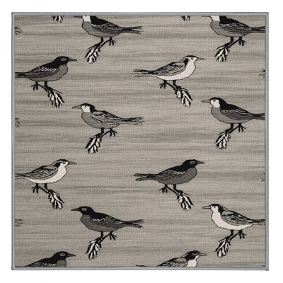  Tapis lavable pour oiseaux communs