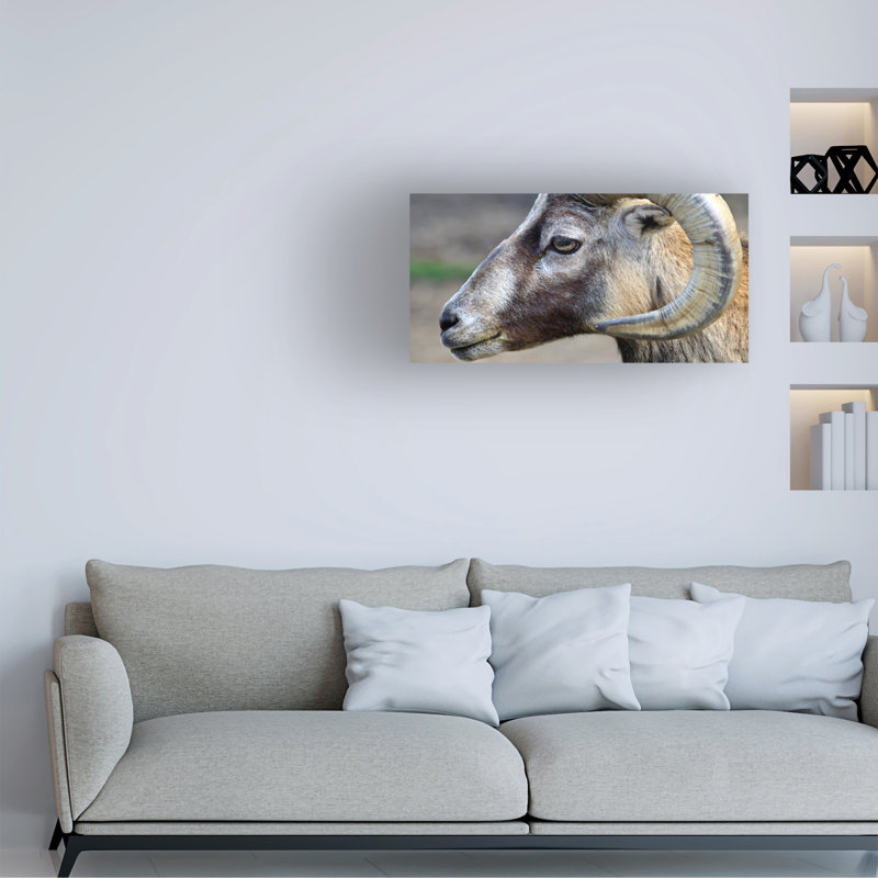 Art sur toile «Bachelor Mountain Clive 2», H 24 po x l 47 po