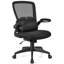Ebern Designs Briaca Executive Chair