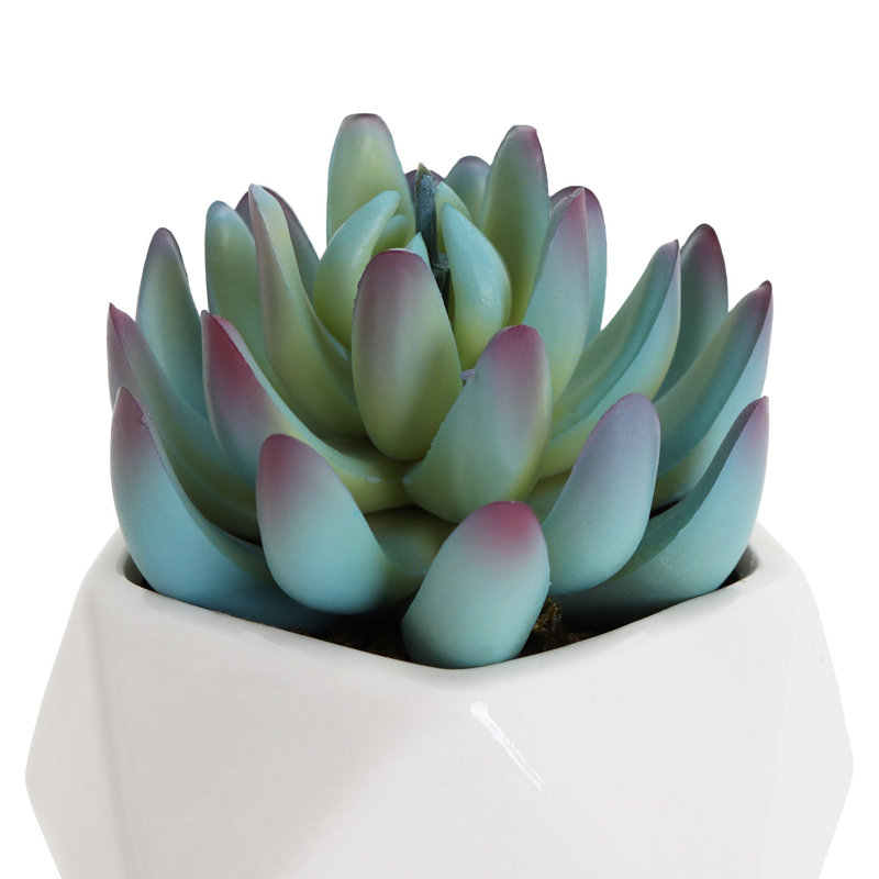 2.75" Artificial Graptoveria Succulent in Planter