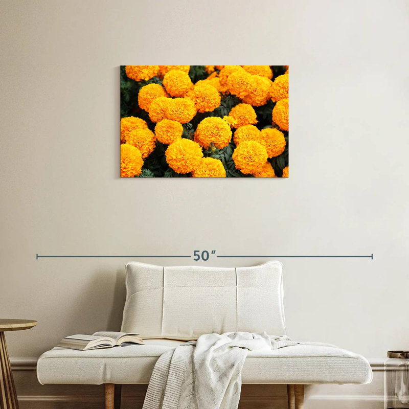 Fleurs de souci mexicain Harnek, H 20 po x l 30 po