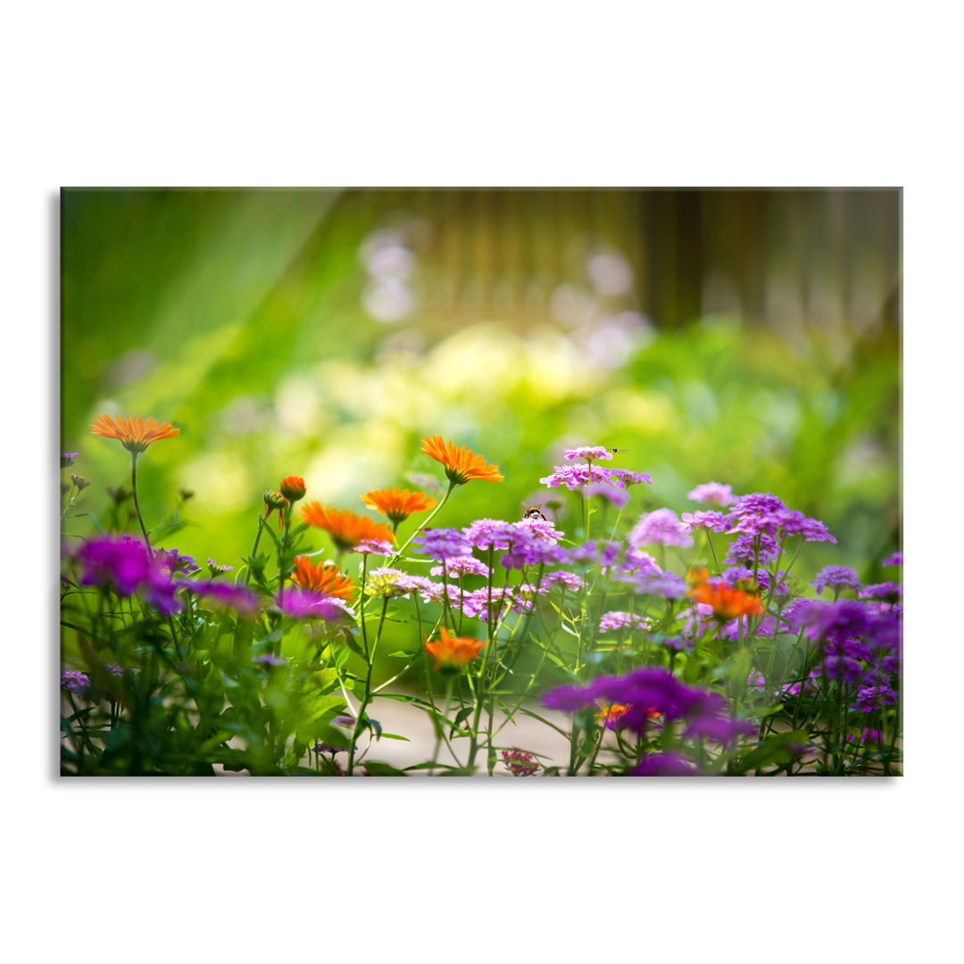 Glasbild Gartenblumen auf Wiese