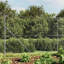 Berenices Wire Fence-1275273777-1275273776