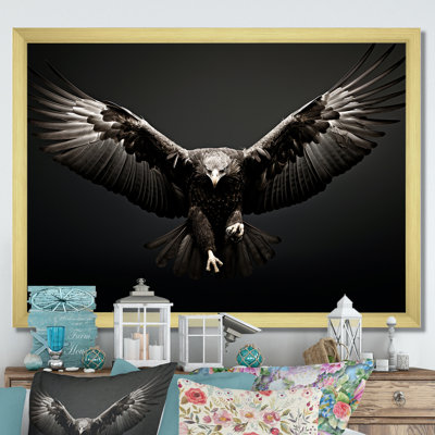 Bold Eagle Power Hunter II - Eagle Framed Prints