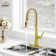 Spring Neck Standard Kitchen Faucet with Dual-Function spray head and Deck Plate