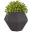 Planter 2 Pcs Steel-55003603-55003630