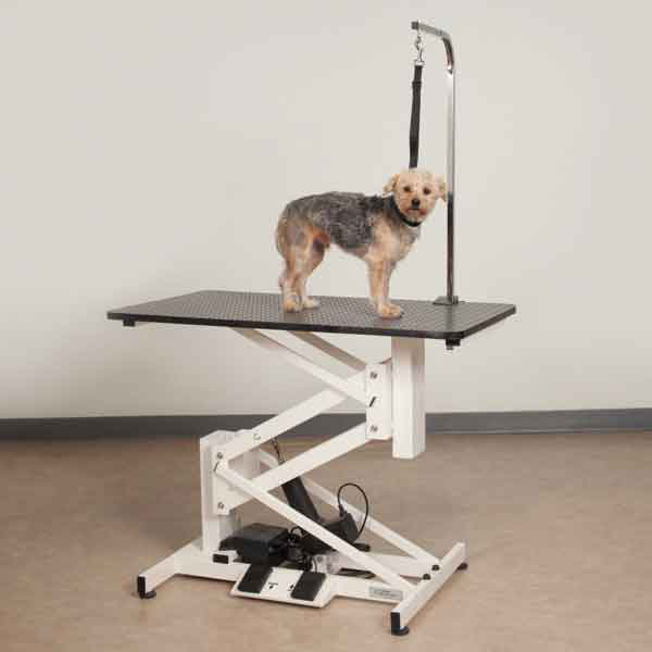 Ivory and Black Heavy-Duty Steel Electric Grooming Table