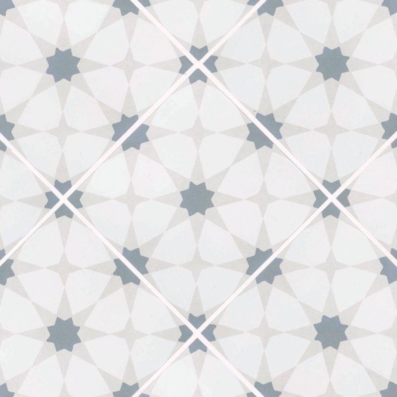 Amara 8 in. x 8 in. Encaustic Look Matte Porcelain Floor and Wall Tile, Rivara