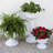 Grecian Urn Plastic Indoor/Outdoor Planter-520019945-486102848